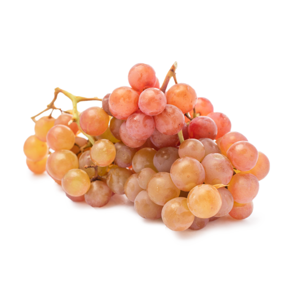 Uva Moscatel Rosada